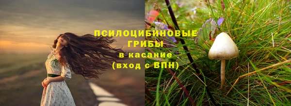 тгк Абаза