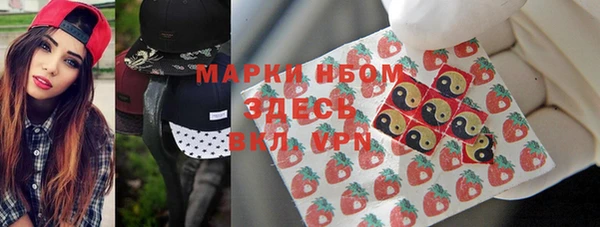 прущие грибы Осташков